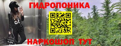 трава Братск