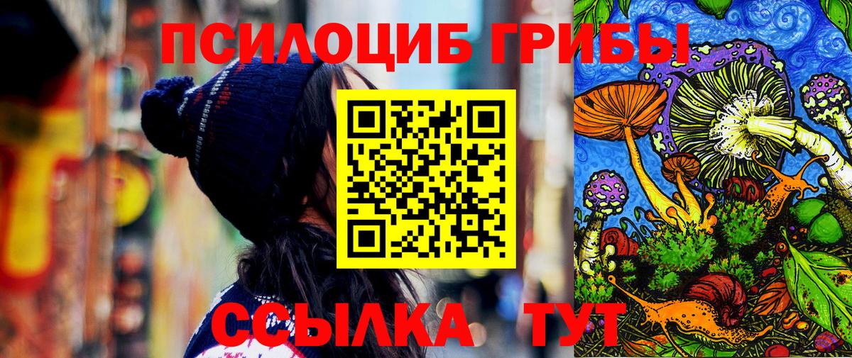 Псилоцибиновые грибы мицелий  Псилоцибиновые грибы MAGIC MUSHROOMS  Краснотурьинск 