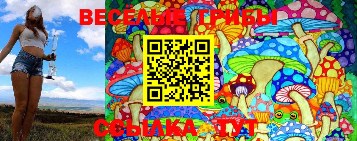 Псилоцибиновые грибы ЛСД Краснотурьинск