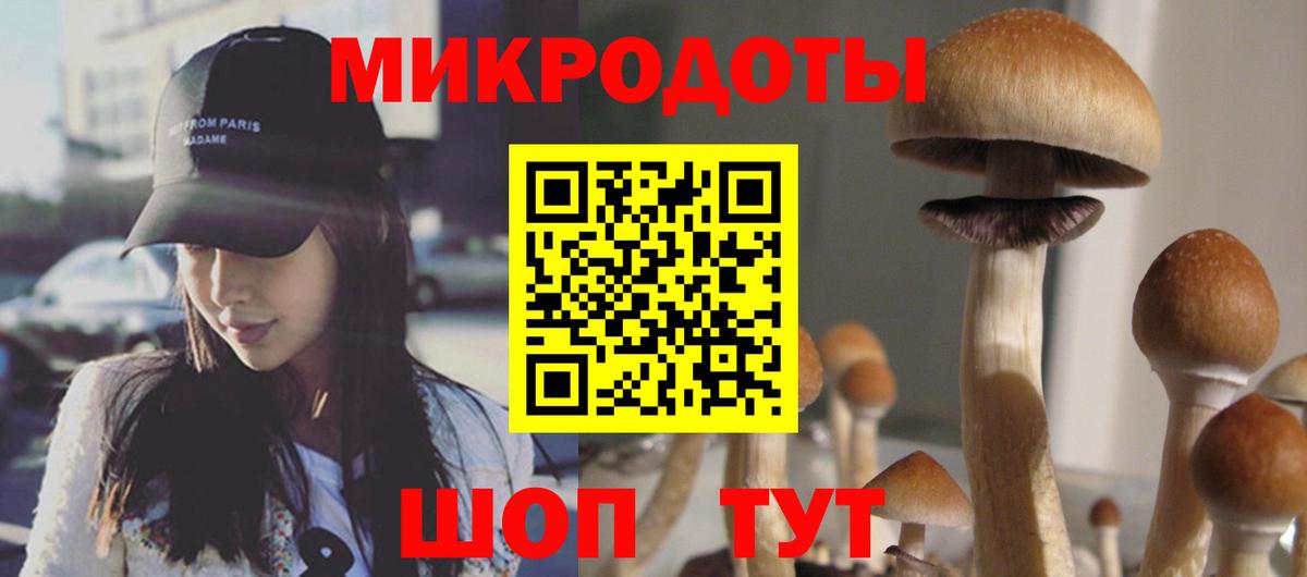 Галлюциногенные грибы мицелий  Вход с VPN  Краснотурьинск  Псилоцибиновые грибы Psilocybe 